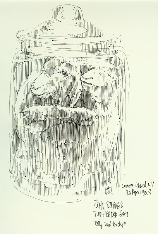 "Two-headed Goat: Billy and Bucky (Coney Island)" is copyright  2009 by James G. Mundie. All rights reserved.  Reproduction prohibited.