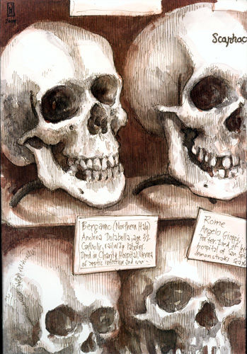 "Bergamo (Hyrtl Skull Collection)" is copyright  2009 by James G. Mundie. All rights reserved.  Reproduction prohibited.