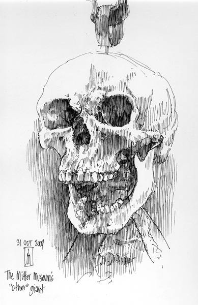 "Skull of a Giant (Mtter Museum)" is copyright  2009 by James G. Mundie. All rights reserved.  Reproduction prohibited.