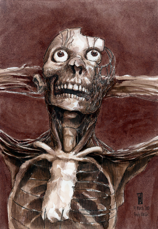 "Flayed Man in Repose (Body Worlds)" is copyright  2010 by James G. Mundie. All rights reserved.  Reproduction prohibited.