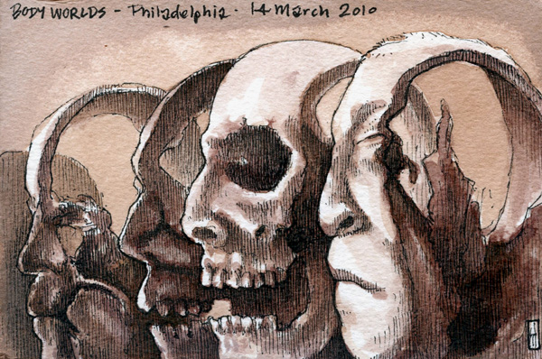 "Sections (Body Worlds)" is copyright  2010 by James G. Mundie. All rights reserved.  Reproduction prohibited.