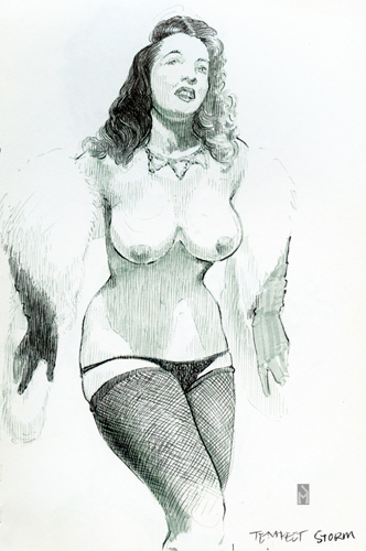 "Tempest Storm" is copyright  2002 by James G. Mundie. All rights reserved.  Reproduction prohibited.