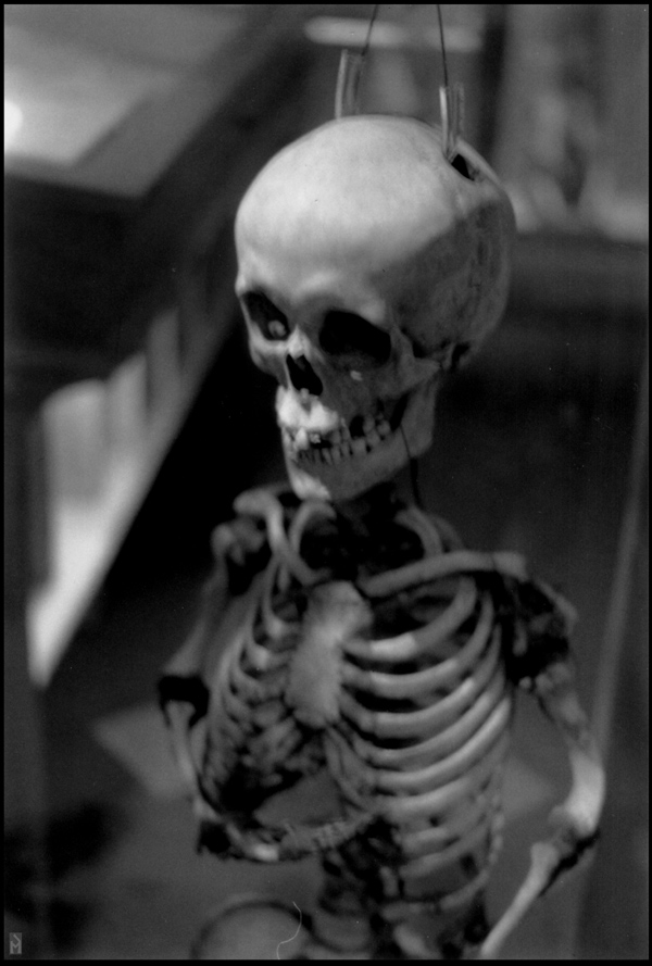 "Dwarf skeleton" is copyright © 2008 by James G. Mundie. All rights reserved.  Reproduction prohibited.