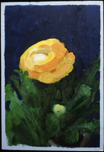 "Ranunculus" is copyright  2002 by Kate Kern Mundie. All rights reserved.  Reproduction prohibited.